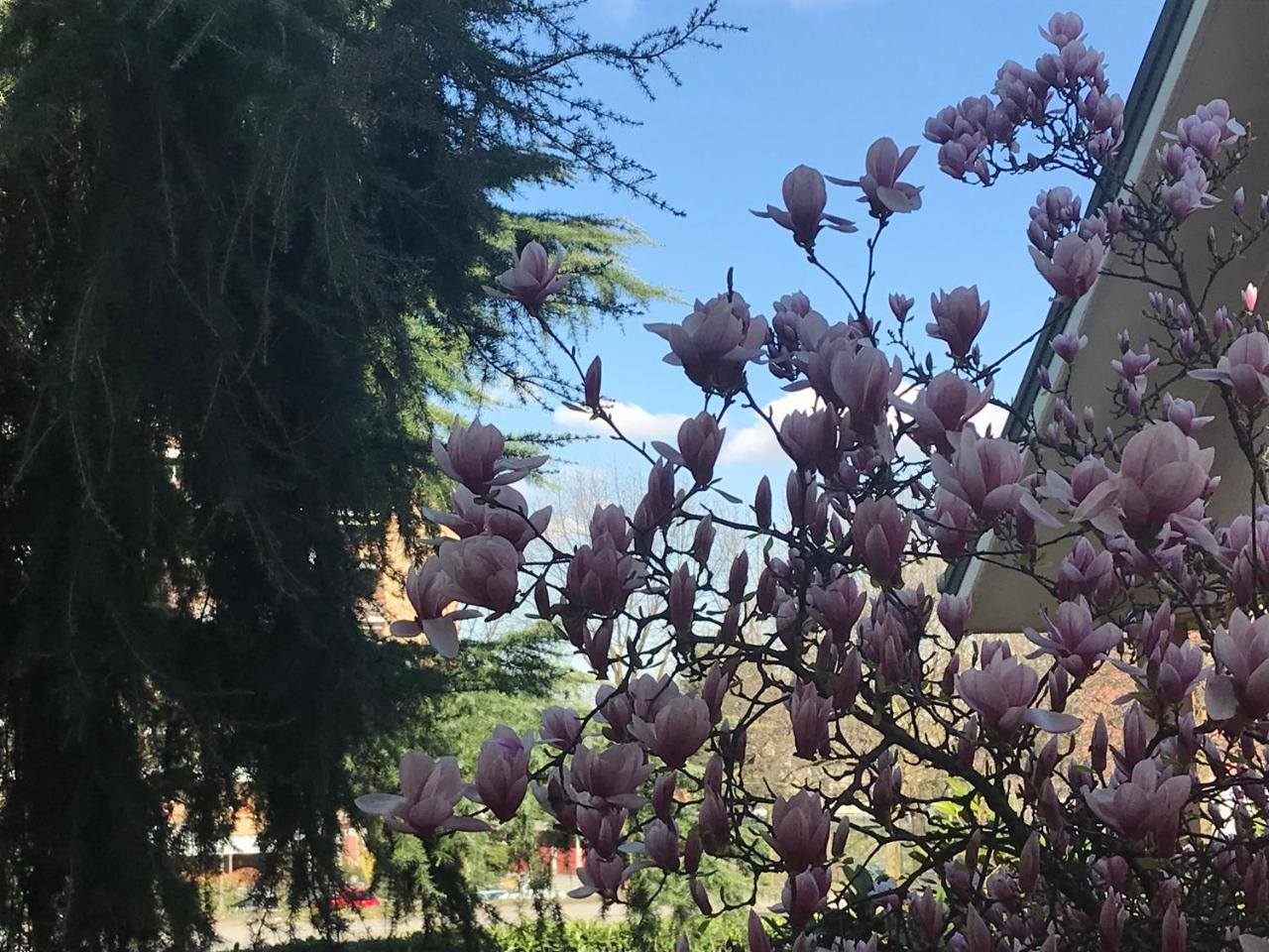 Borgo Dei Fiori Rozzano